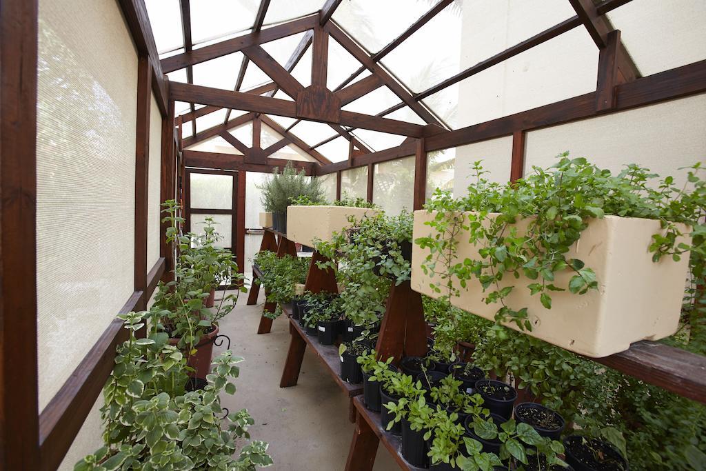 פאלם ביץ' Manchebo Beach Resort And Spa מראה חיצוני תמונה